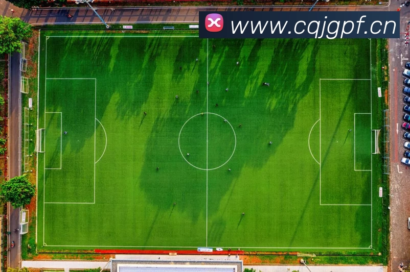 俄罗斯世界杯中国官网平台生态图